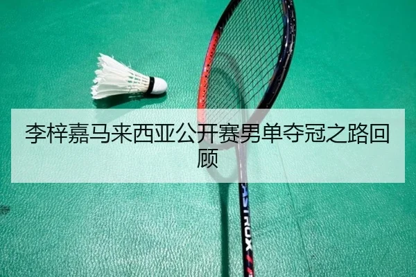 李梓嘉马来西亚公开赛男单夺冠之路回顾
